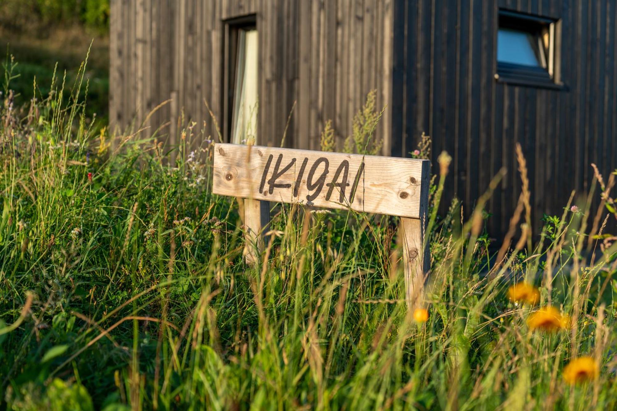 Holiday home Wypoczynkowe W Beskidach - Odpoczywaj W Naturze Laskowa (Limanowa)